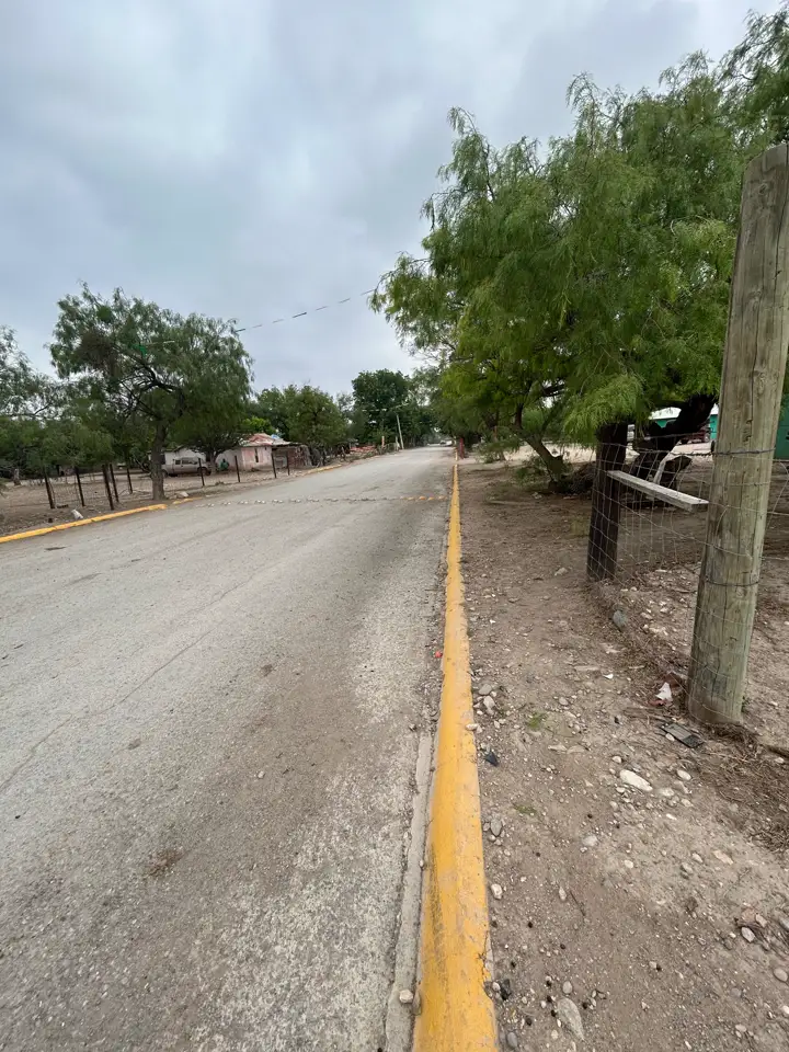 Acceso por calle pavimentada con banqueta amarilla y árboles